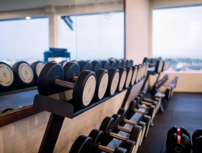 Panoramic gym
